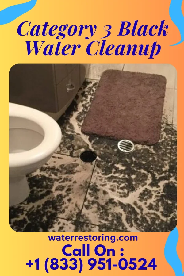 Category 3 Black Water Cleanup in Altamont, UT