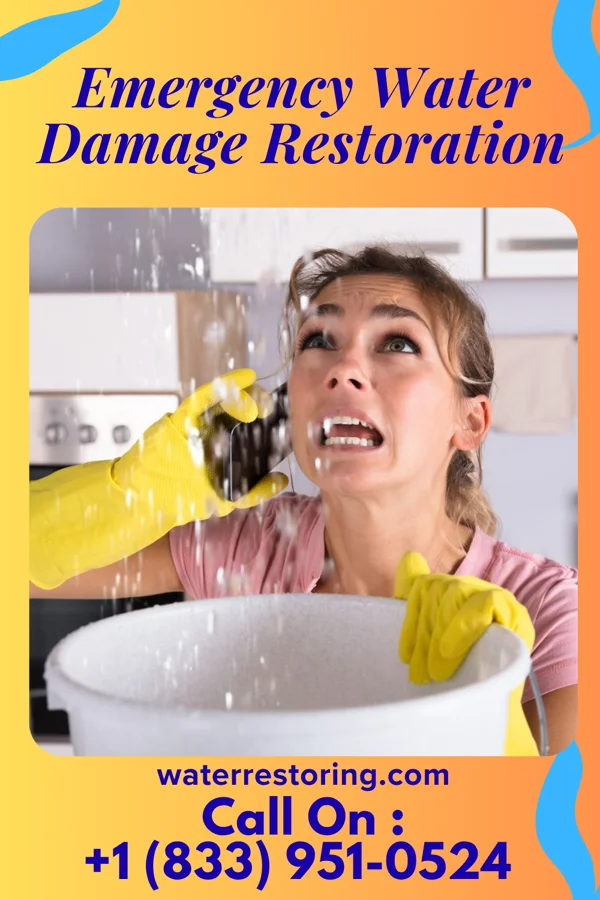 Emergency Water Damage Restoration in Altamont, UT